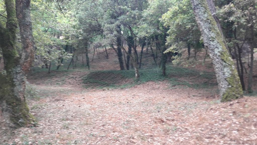 Quinta Vale Do Nox Villa Serrazes Exterior photo